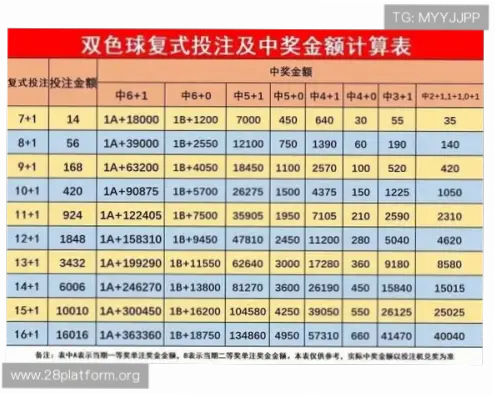 竞猜网体彩数据分析如何验证中奖概率