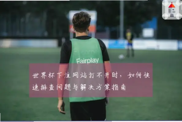 世界杯网站打不开？原因与解决方法